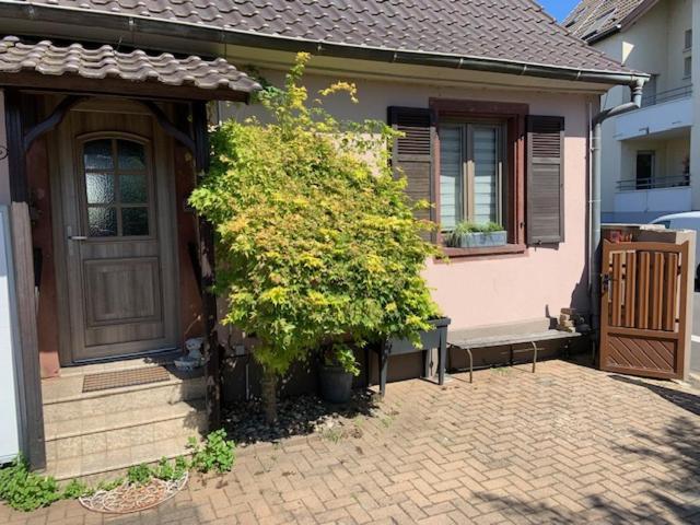 La Maison D'A Cote De Strasbourg Иллкирх-Графенштаден Экстерьер фото